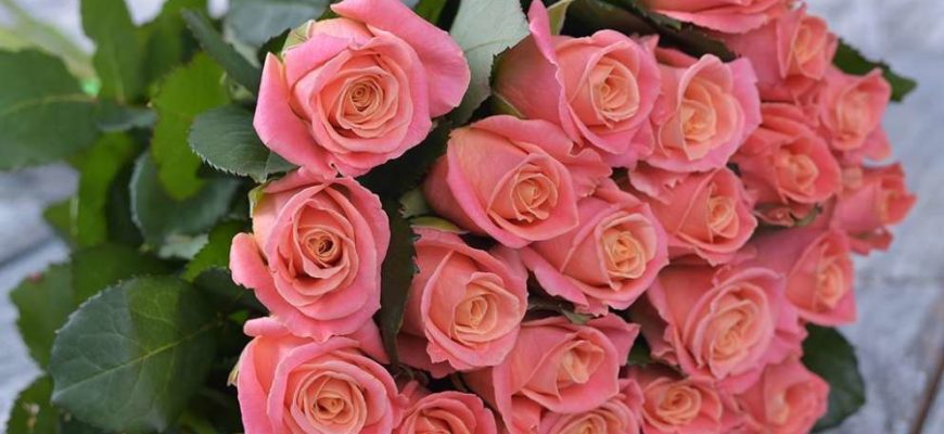 Букет роз: как выбрать подходящий и не ошибиться с цветом?