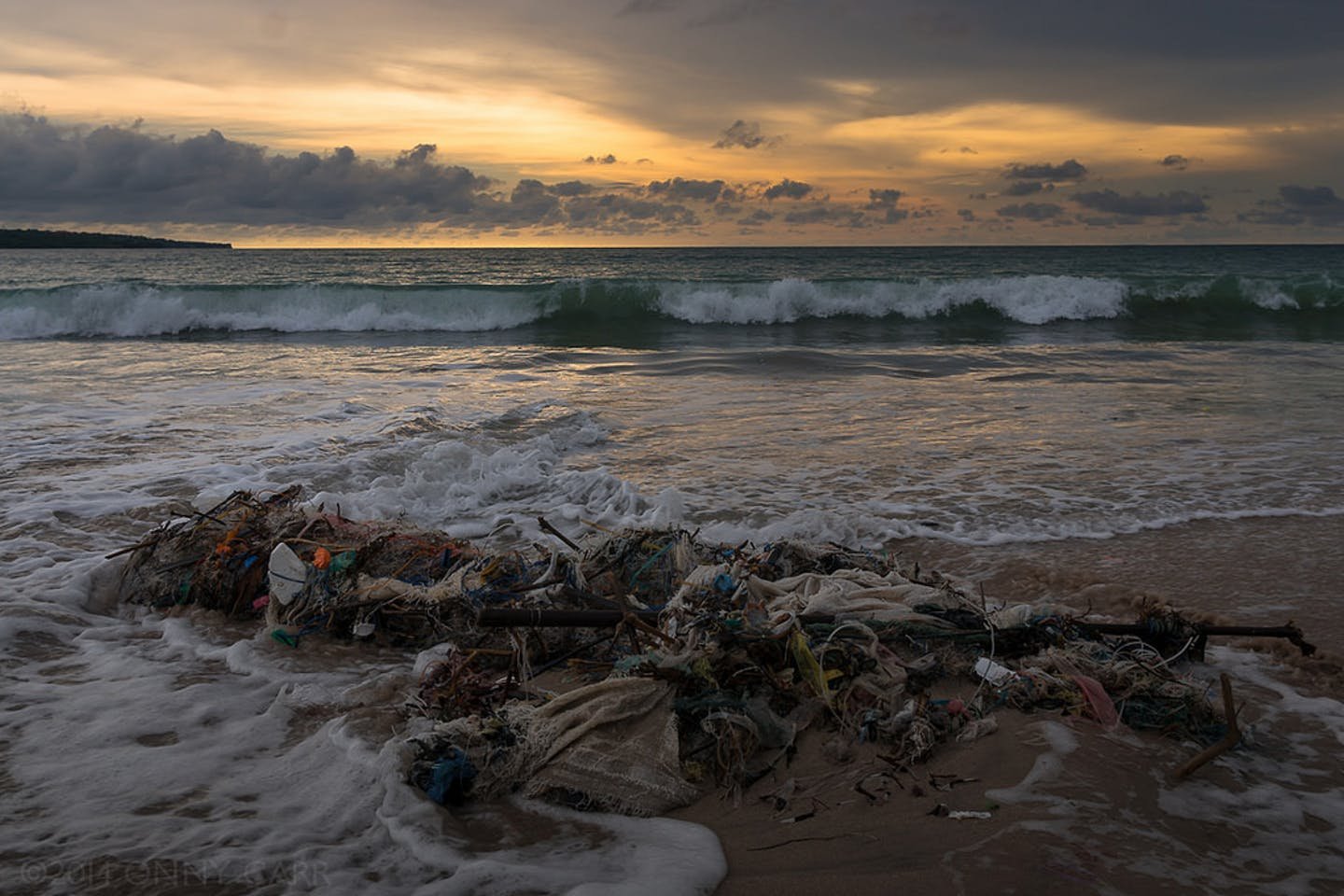 Загрязнение мирового океана: проблема, которая касается всех