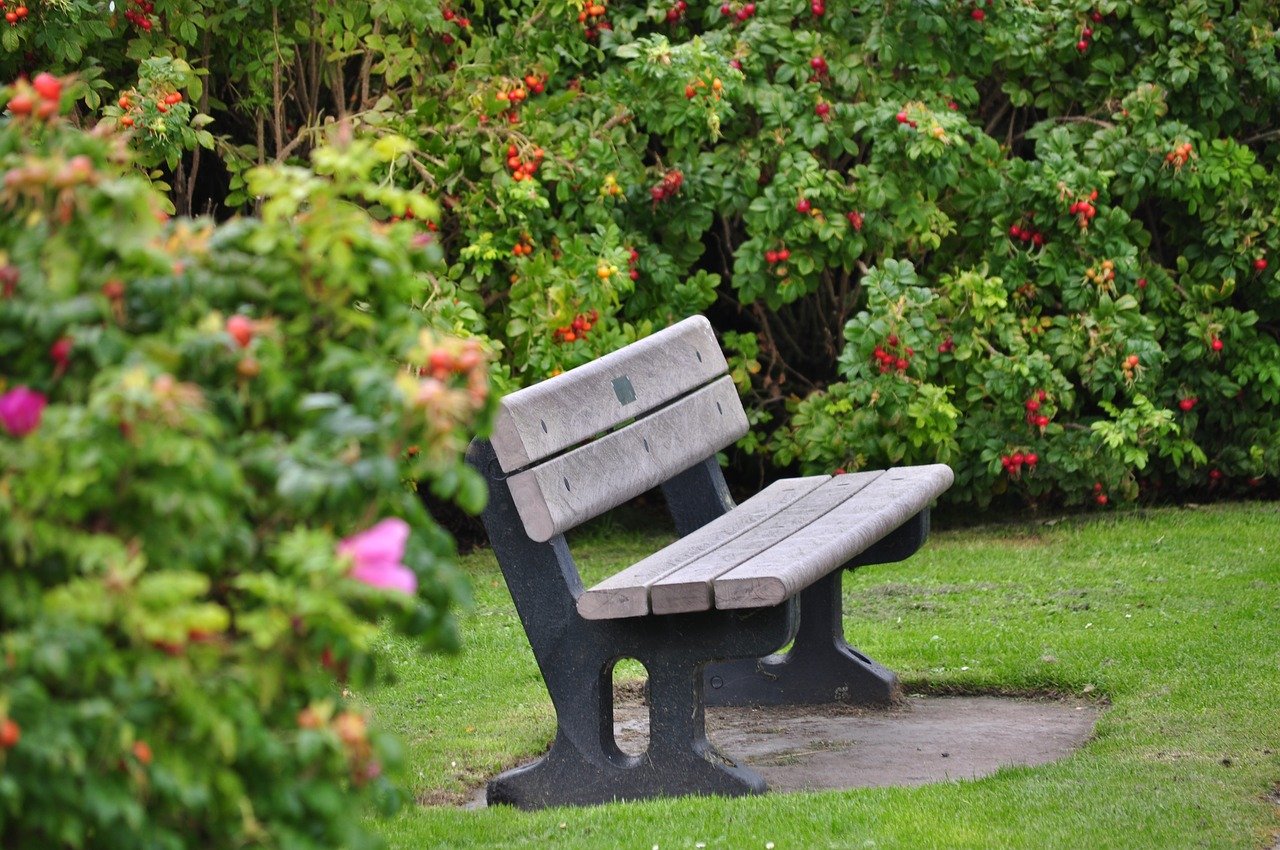 Садовые скамейки: как они улучшают нашу жизнь и как их выбрать?