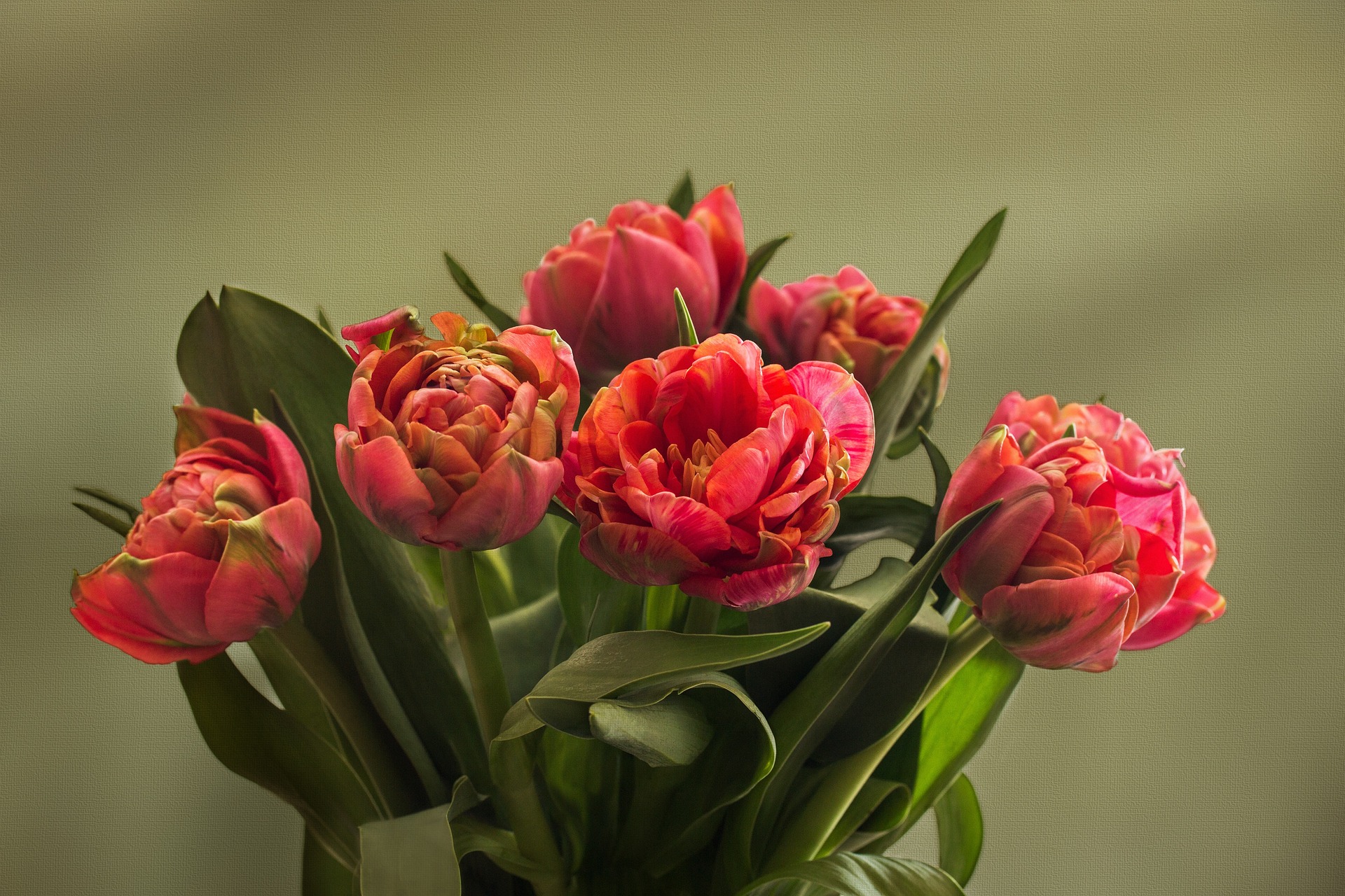 Как цветы могут улучшить вашу жизнь в Оренбурге?